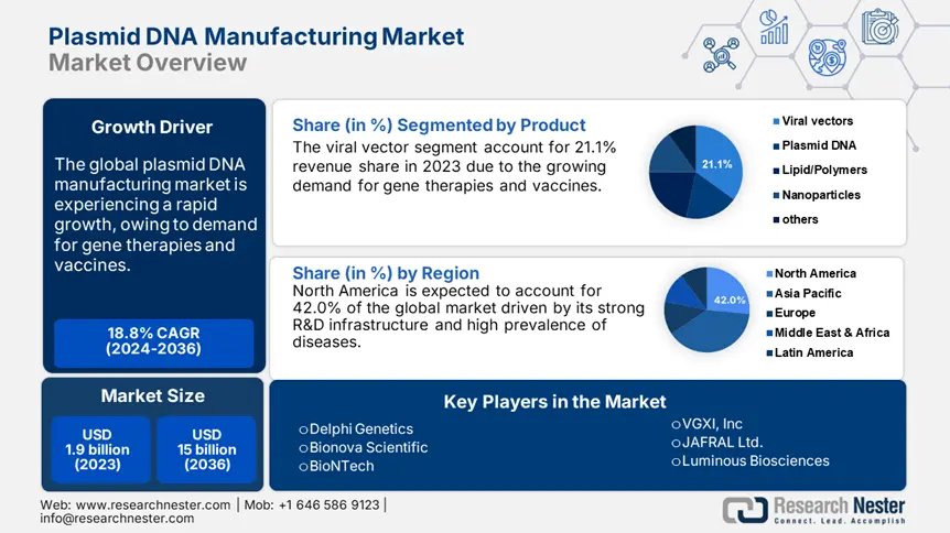 Plasmid DNA Manufacturing Market Overview